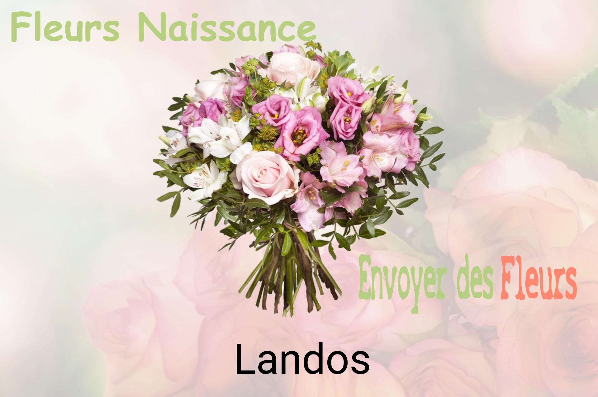 Bouquet de fleurs de naissance livré à Landos