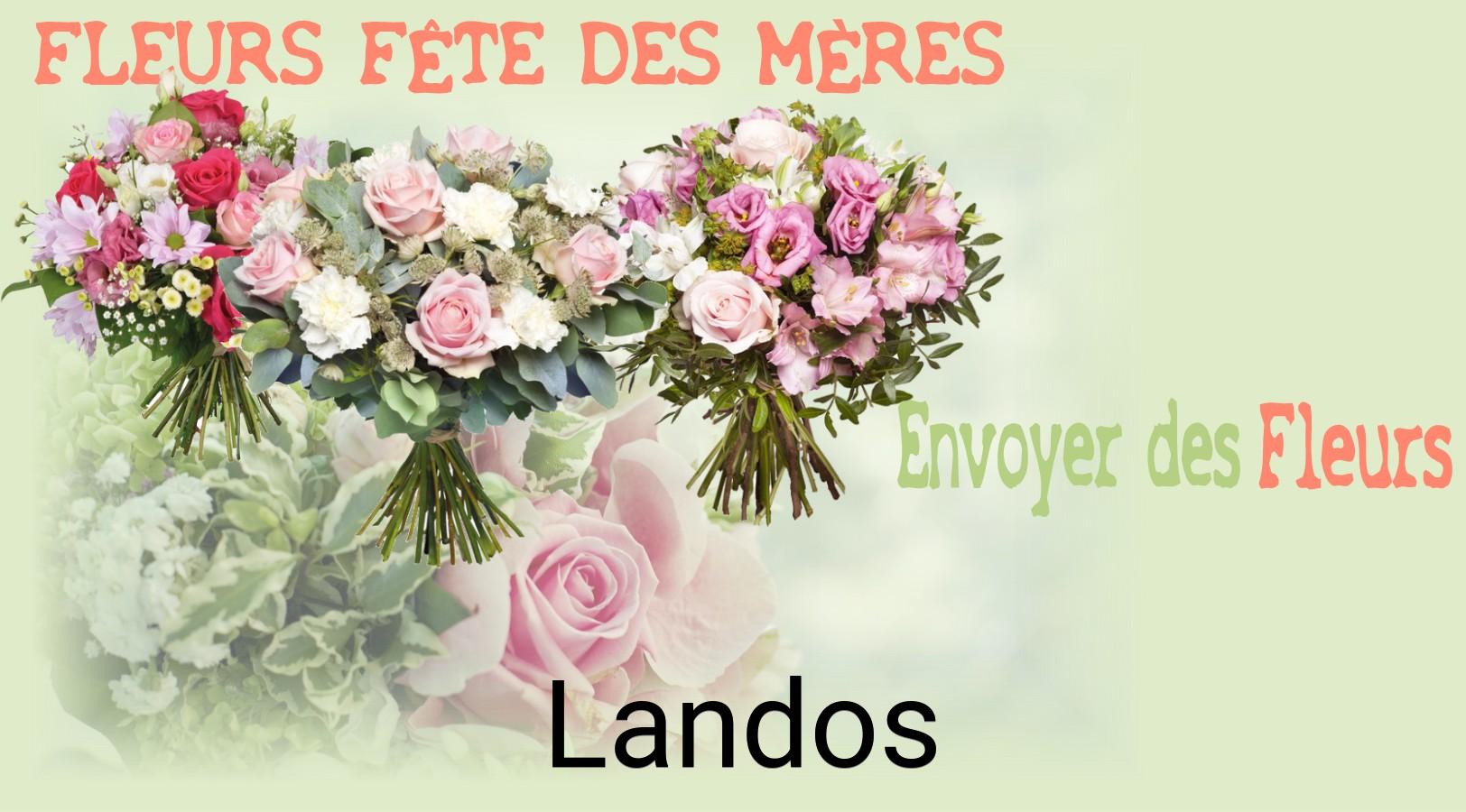 Bouquet de Fête des Mères livré à Landos
